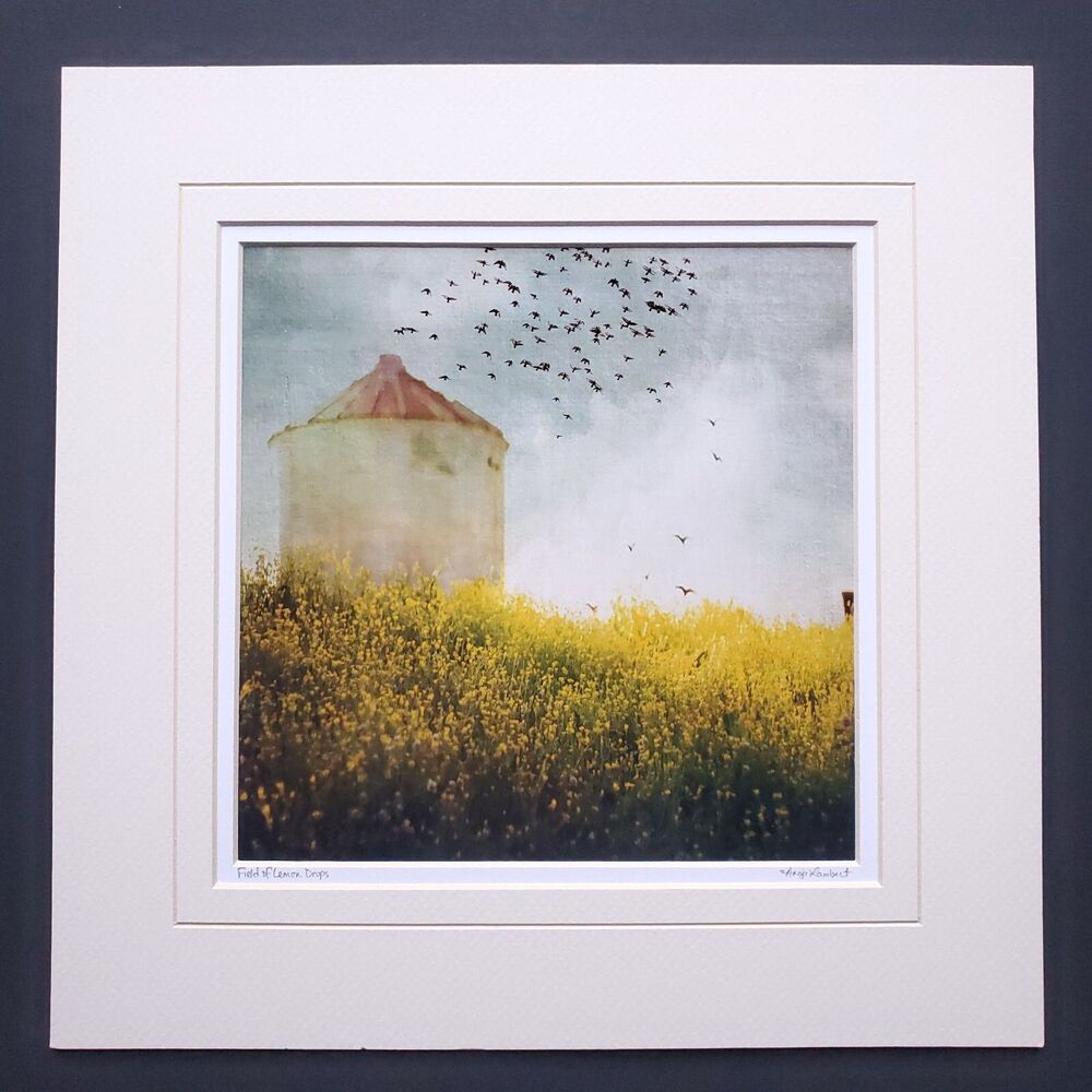 Angie Lambert Photograph Farm Silo Birds Flowers Americana Rustic 12x12" Matted